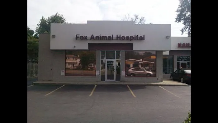 Fox Animal Hospital Picture 3