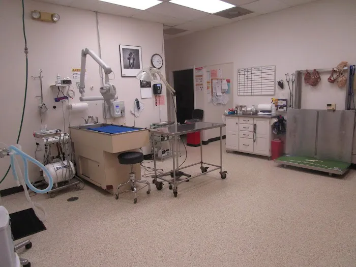 Fox Animal Hospital Picture 9