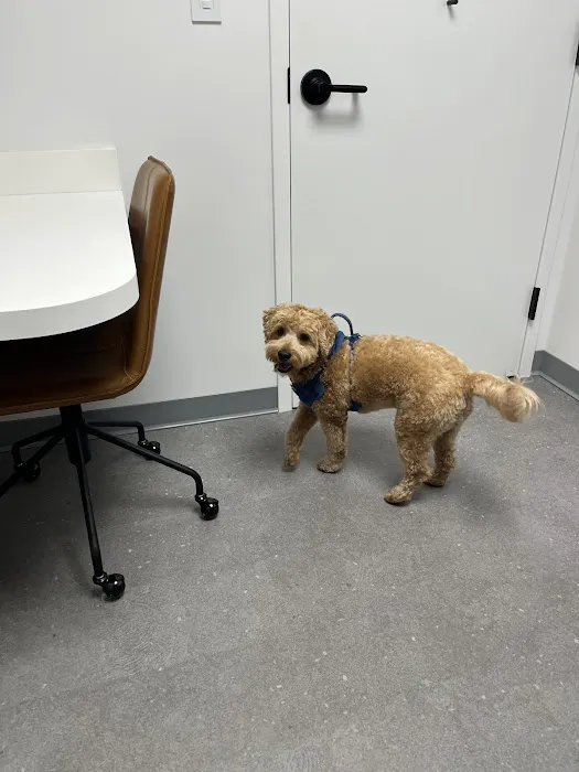 Scout Veterinary Urgent Care - Old Orchard Picture 1