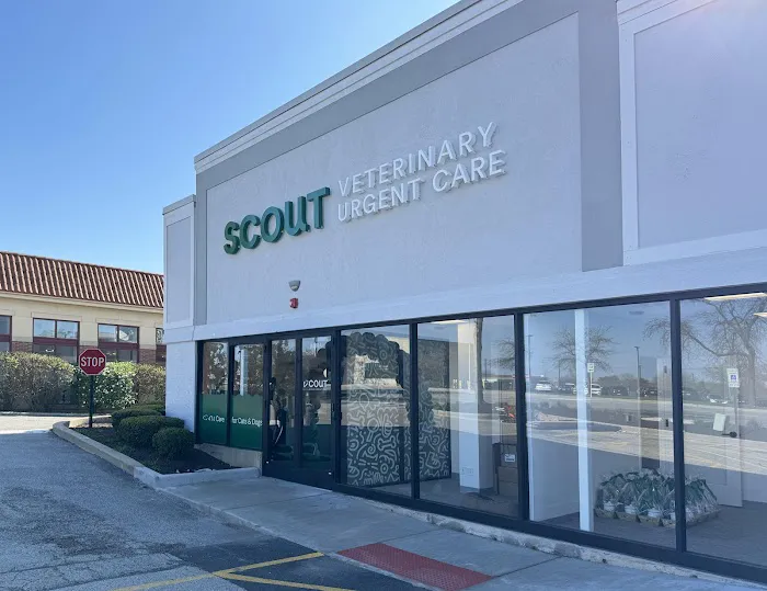 Scout Veterinary Urgent Care - Old Orchard Picture 7