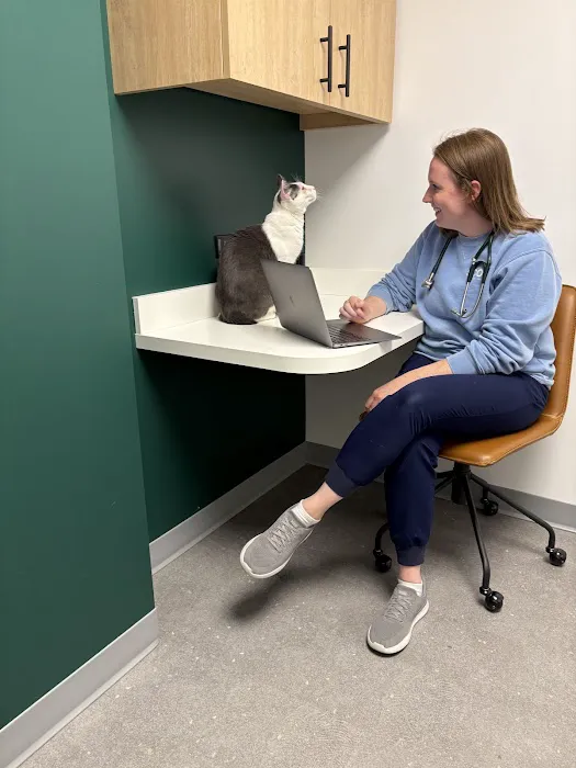 Scout Veterinary Urgent Care - Old Orchard Picture 4