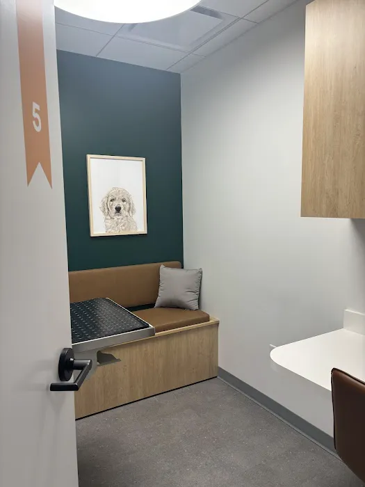 Scout Veterinary Urgent Care - Old Orchard Picture 9