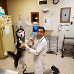 Companion Skokie