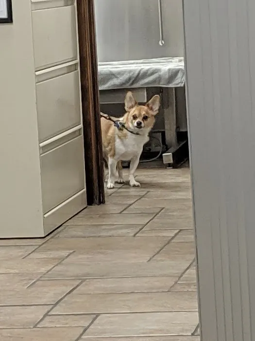 Terry Animal Hospital Picture 6