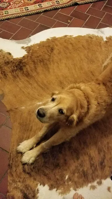 Terry Animal Hospital Picture 8