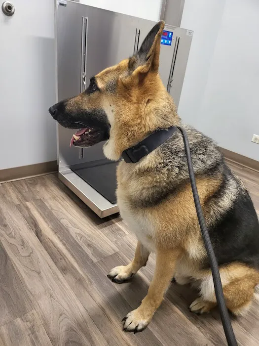 Green Bay Animal Hospital Picture 2