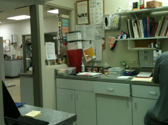 Green Bay Animal Hospital Picture 4