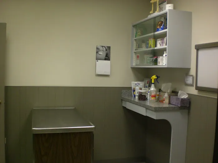 Green Bay Animal Hospital Picture 6