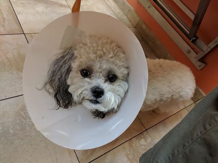 Christensen Animal Hospital Picture 5