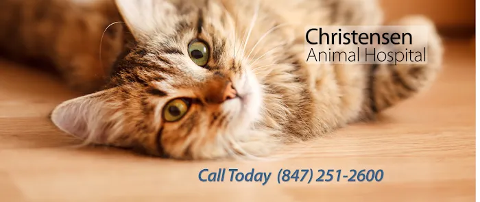 Christensen Animal Hospital Picture 9
