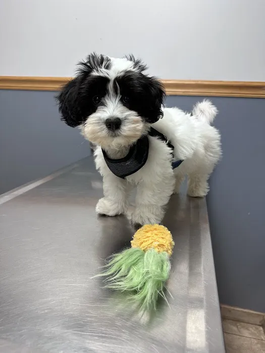 Christensen Animal Hospital Picture 7