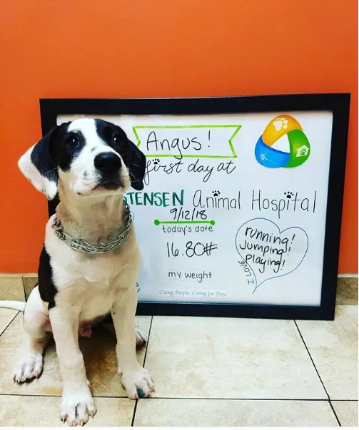 Christensen Animal Hospital Picture 10