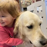 Animal Hospital at Murphy's Corner ico