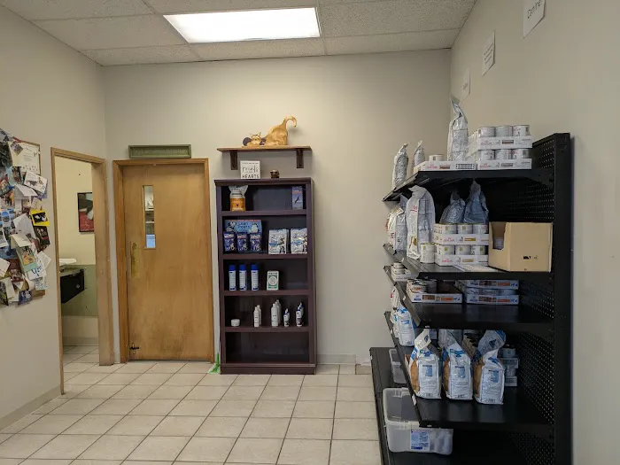 Animal Surgery & Care Center Picture 6