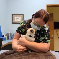 Companion Vet Clinic ico
