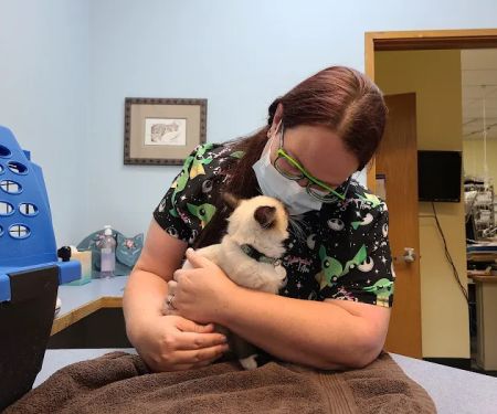 Companion Vet Clinic