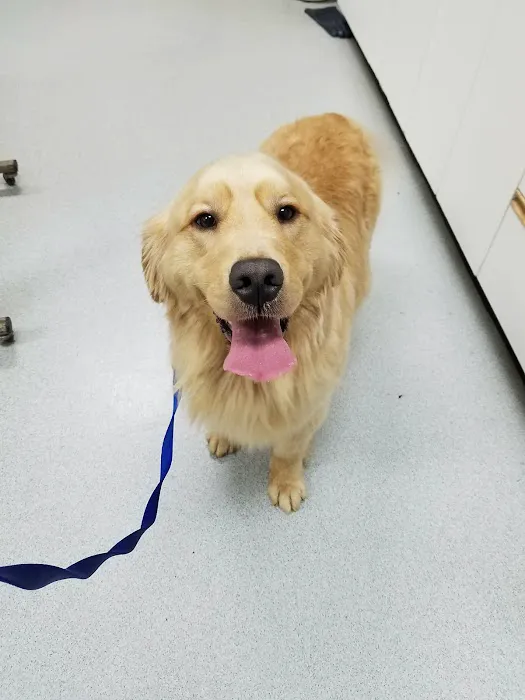 Companion Vet Clinic Picture 3