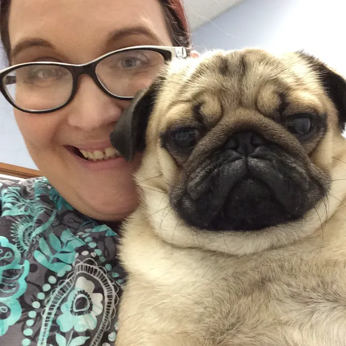 Companion Vet Clinic Picture 10