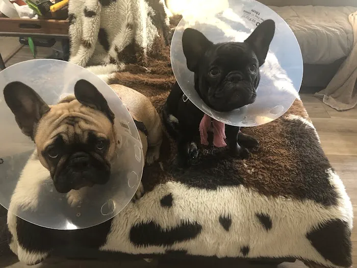 Northwest Animal Care Hospital Picture 5