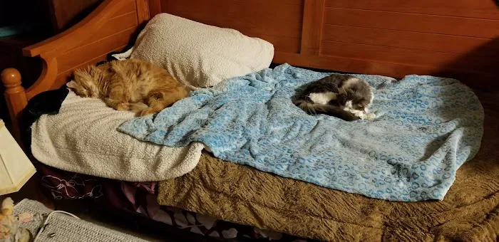 Clearview Animal Hospital Picture 6