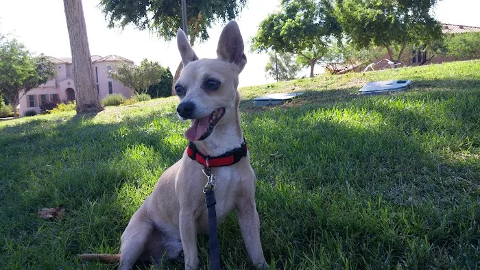 Banfield Pet Hospital Picture 5