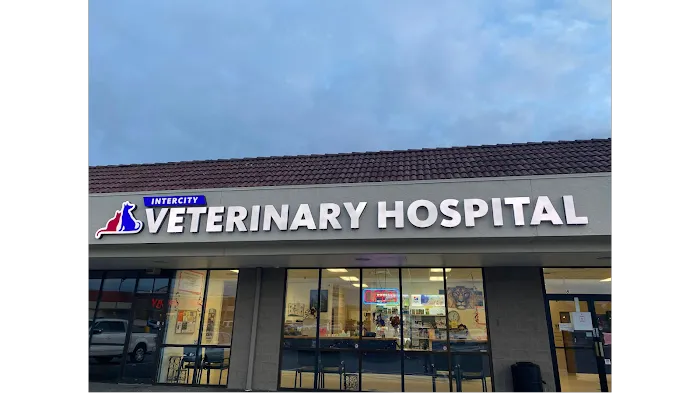 Intercity Veterinary Hospital Picture 3