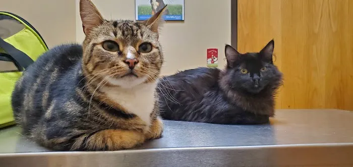 Intercity Veterinary Hospital Picture 7