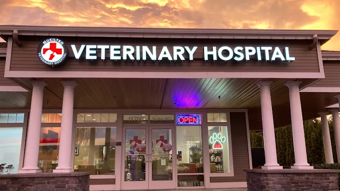 Mukilteo Veterinary Hospital Picture 2