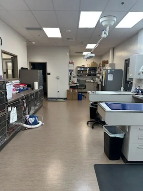 Mukilteo Veterinary Hospital Picture 5