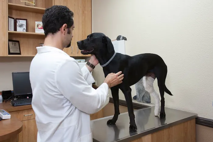 Imperial Highway Animal Clinic Picture 1