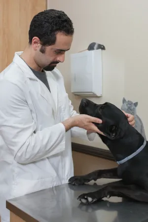 Imperial Highway Animal Clinic Picture 3