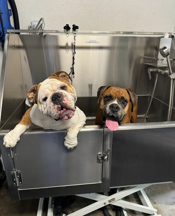 Imperial Highway Animal Clinic Picture 4
