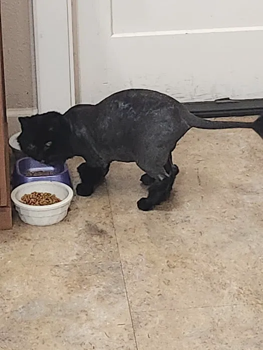 Timber Ridge Animal Hospital Picture 6
