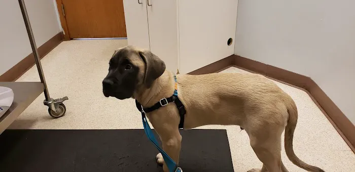 Timber Ridge Animal Hospital Picture 10