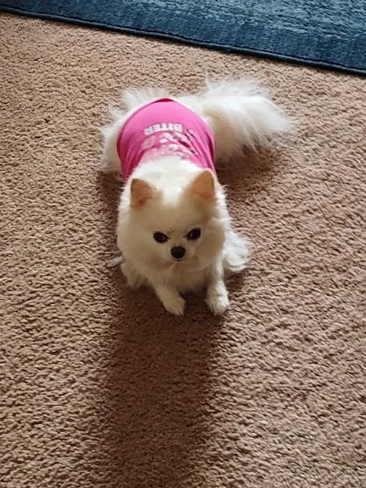 McMillin Animal Hospital Picture 8