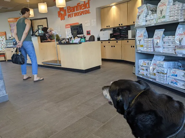 Banfield Pet Hospital Picture 4