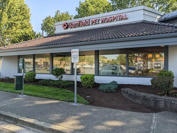 Banfield Pet Hospital Picture 7