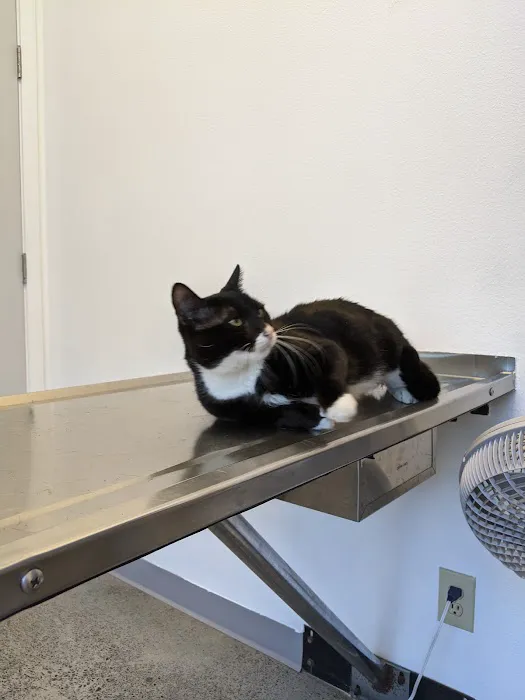 PetCare Clinic Picture 2