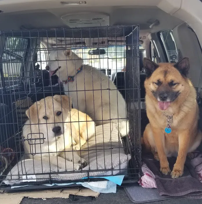 PetCare Clinic Picture 4