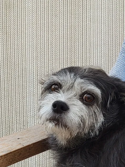 PetCare Clinic Picture 10