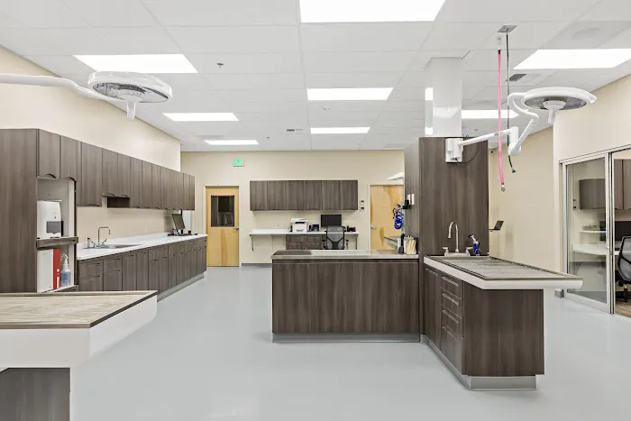 Orting Animal Hospital Picture 1