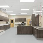 Orting Animal Hospital