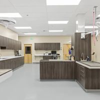 Orting Animal Hospital ico