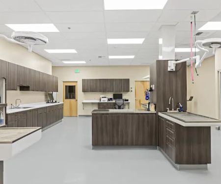 Orting Animal Hospital