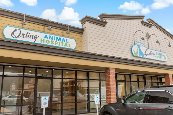 Orting Animal Hospital Picture 2