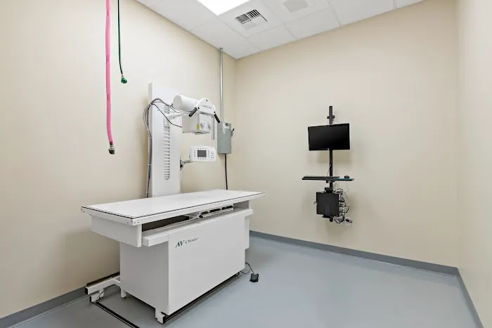 Orting Animal Hospital Picture 9