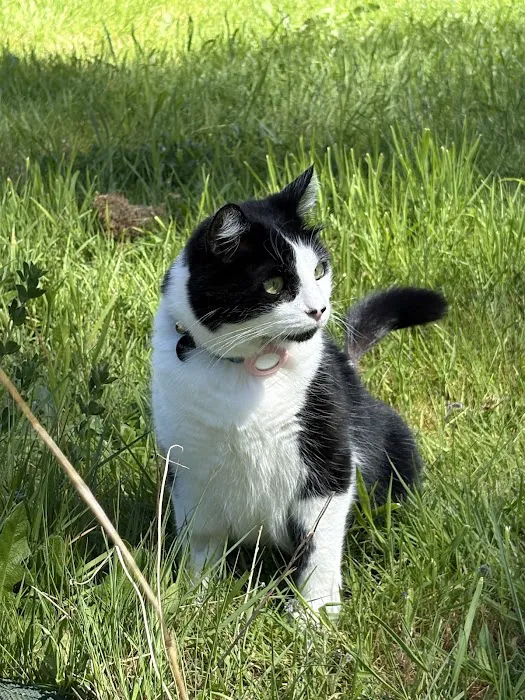 Whisker Wellness Center Picture 1