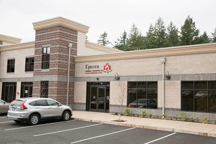 Uptown Animal Hospital & Urgent Care Picture 1