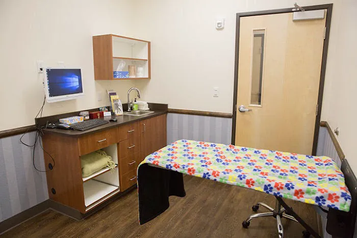 Uptown Animal Hospital & Urgent Care Picture 3
