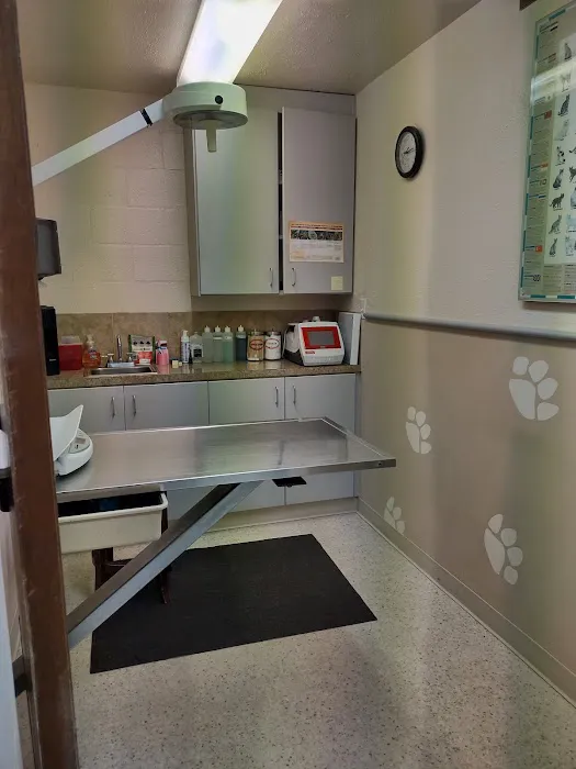 Gig Harbor Veterinary Hospital Picture 7